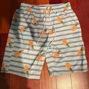 Striped Pineapple Print Men’s Shorts